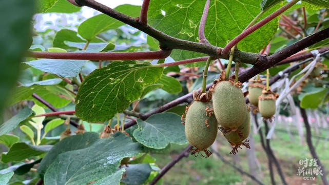 63756598761574-15.jpg undefined